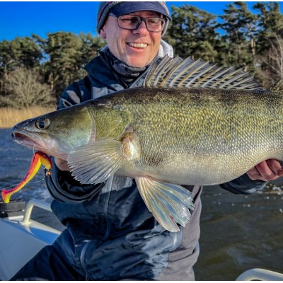 DAIWA Мягкая приманка TN D'Fin 12,5см UV-CC
